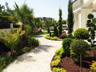 Green Forest Paphos Garden Center