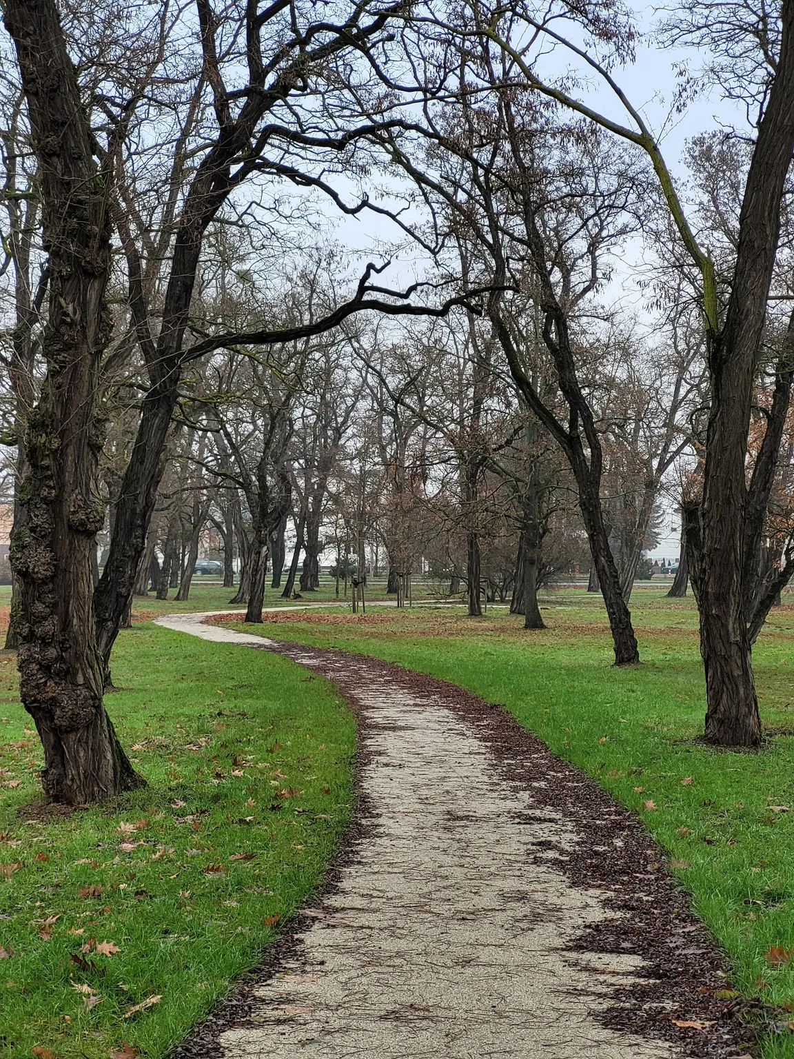 Park Tysiąclecia