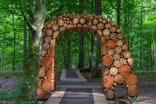 Camp Adventure