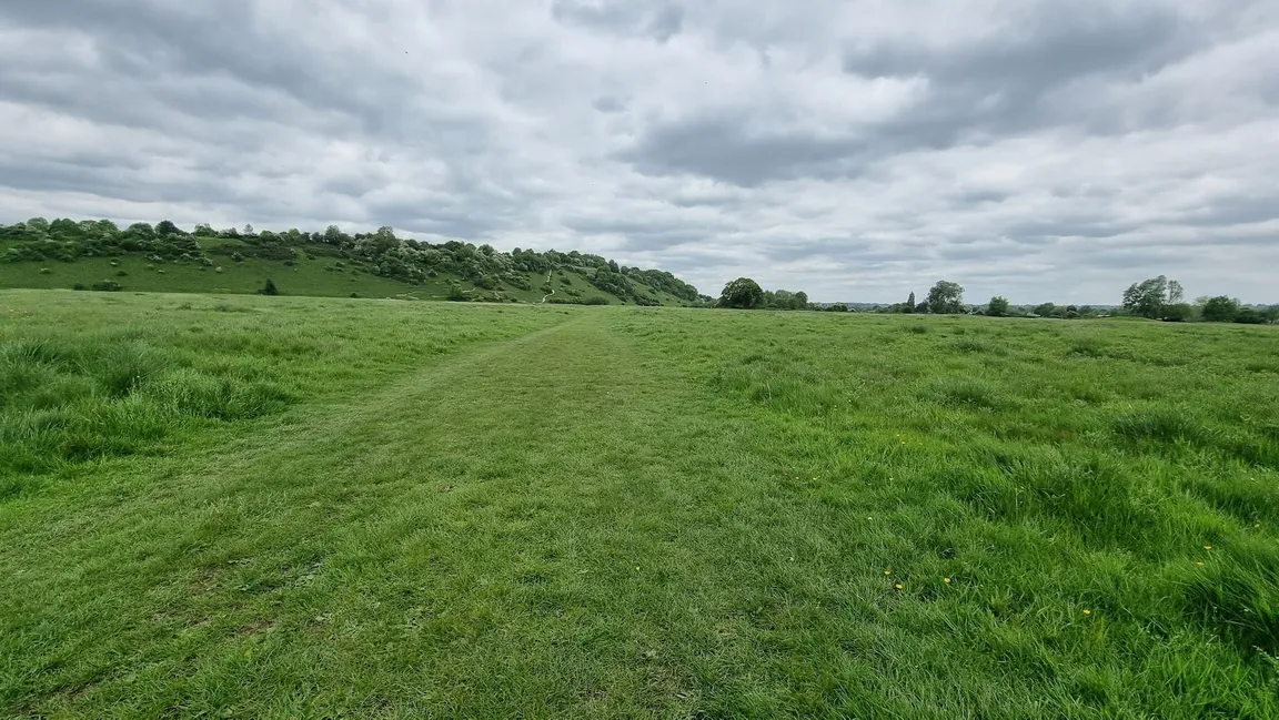 Cock Marsh