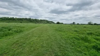 Cock Marsh
