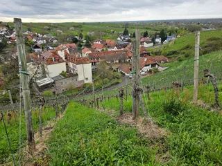 Schloss Neuweier