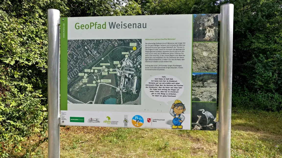 GeoPfad Weisenau Zugang Höhenweg