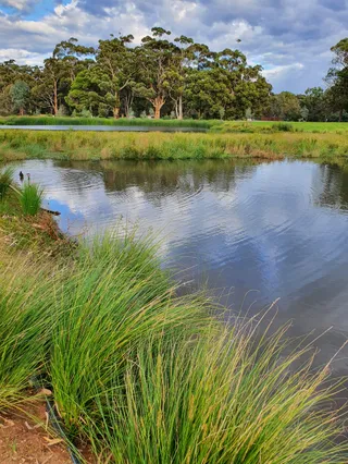Pakapakanthi /Victoria Park (Park 16)