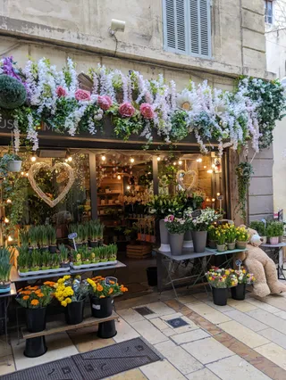 Le Garden | Fleuriste Avignon