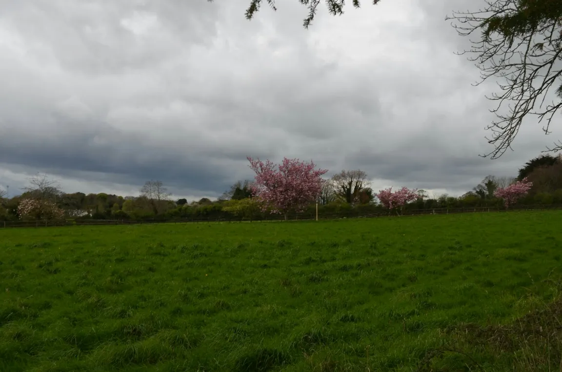 St Doulagh's Church