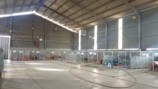 Sirius Dog Sanctuary