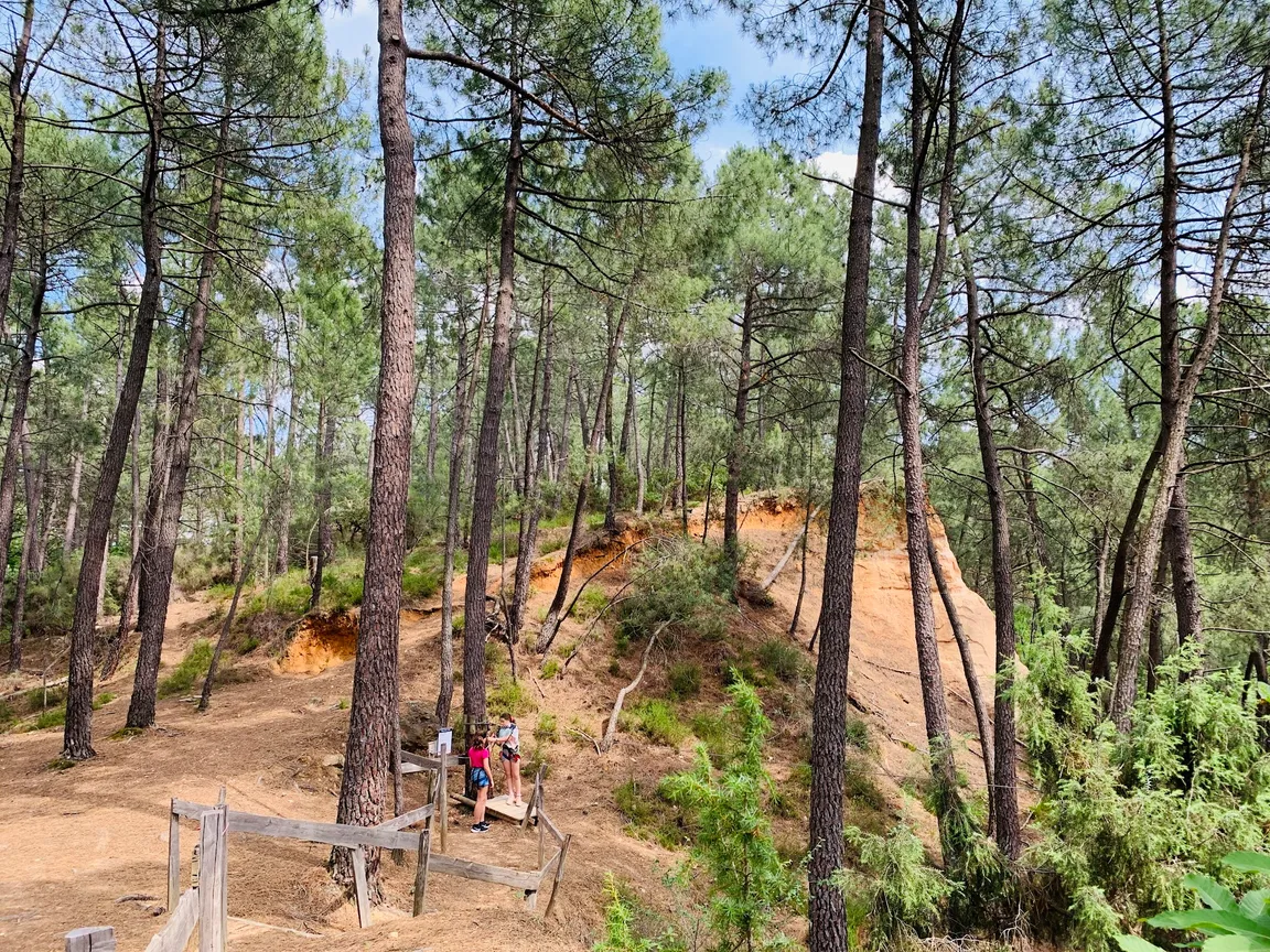 Ventoux Aventure - Accrobranche, location de trottinettes électriques tout terrain et escape game outdoor