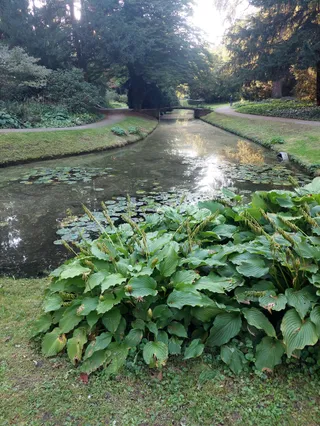 Englischer Garten