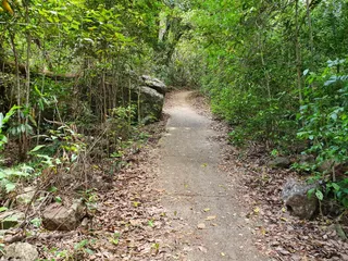 Mount Beerburrum Walking Track