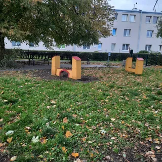 Wybieg Dla Psów