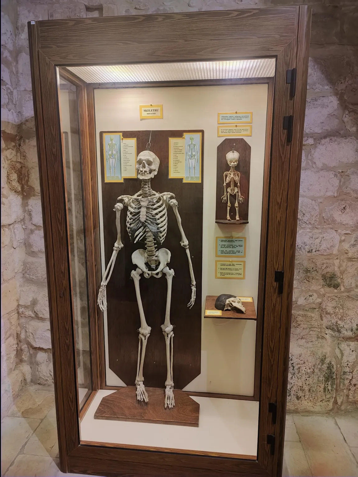 Natural Science Museum