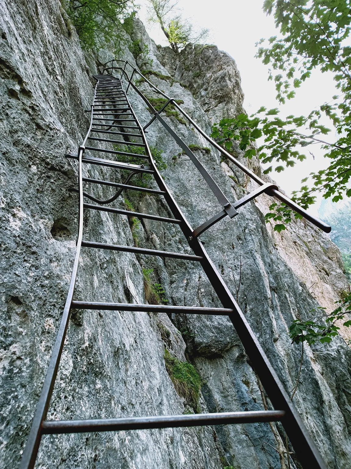 Alpenvereinssteig