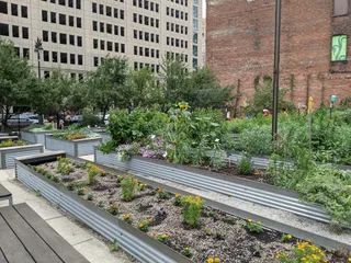The Greening of Detroit - Lafayette Greens