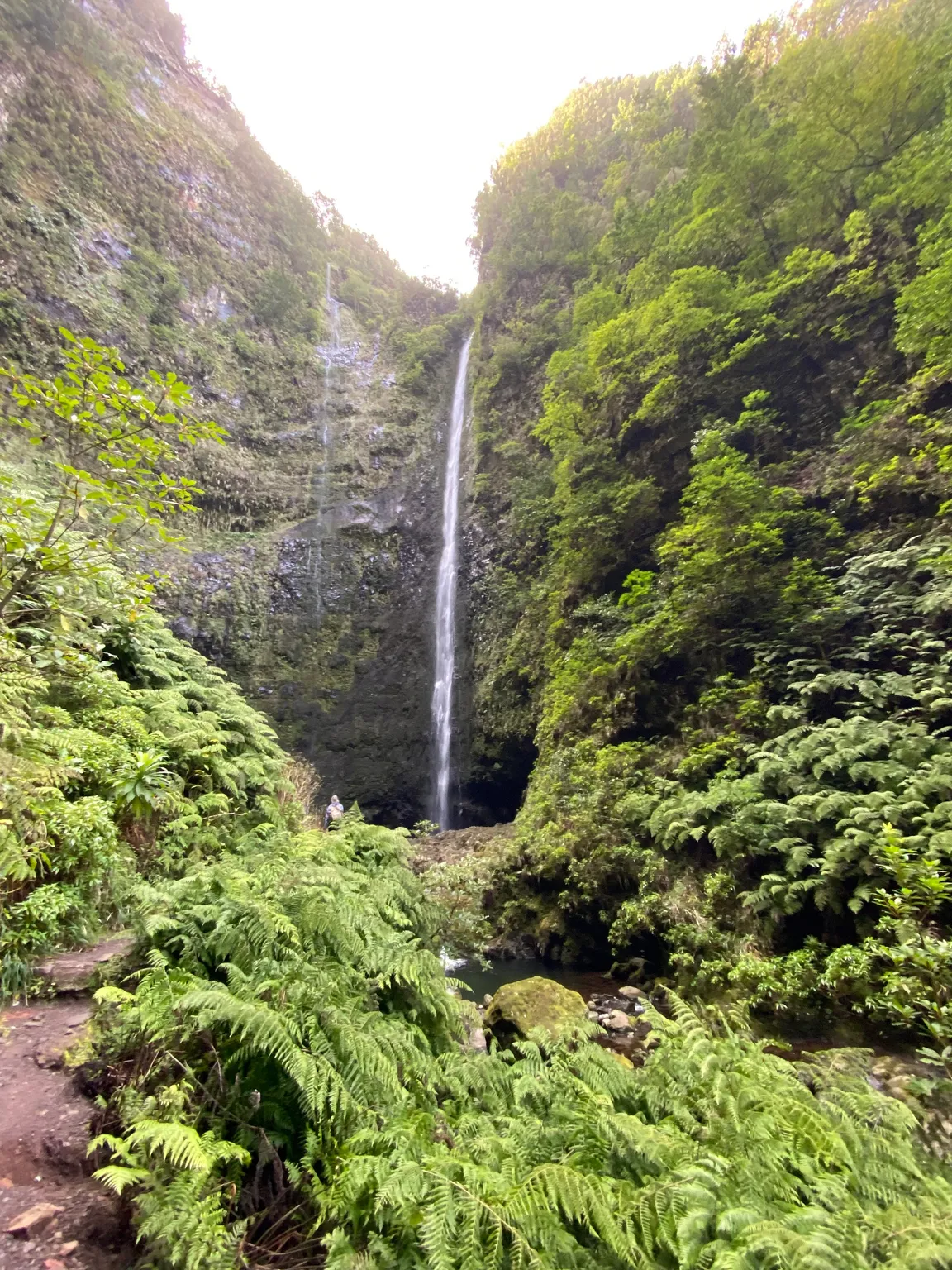 PR9 Levada do Caldeirão Verde