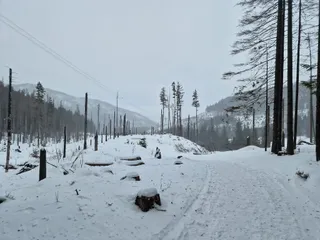 Szlak na Kasprowy Wierch