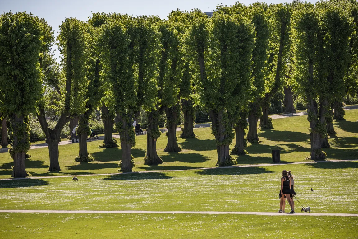 Frederiksberg Gardens