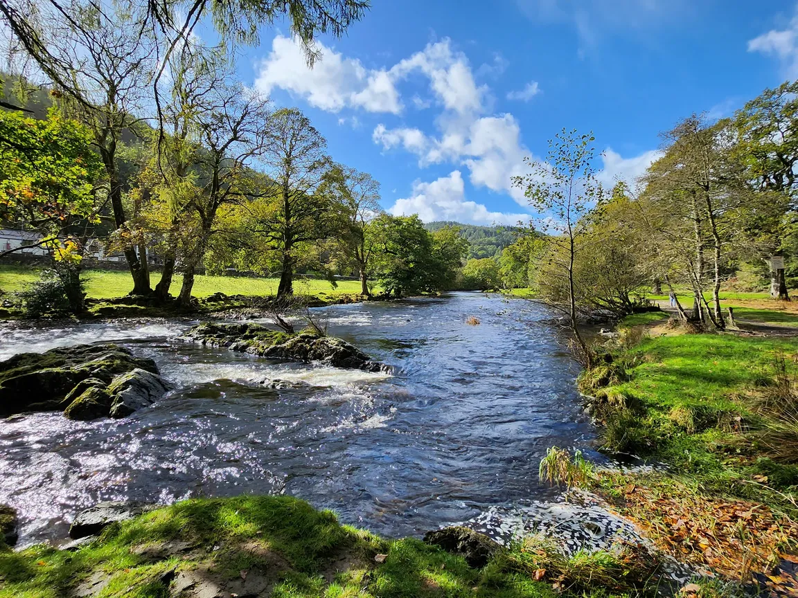 Gwydir Forest Park
