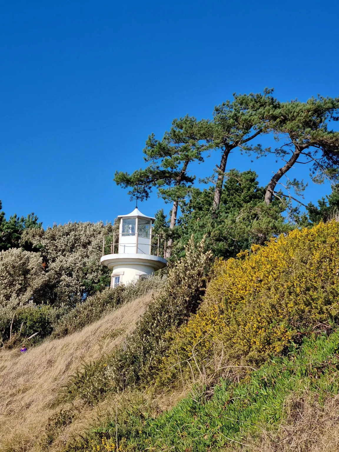 Lepe Country Park