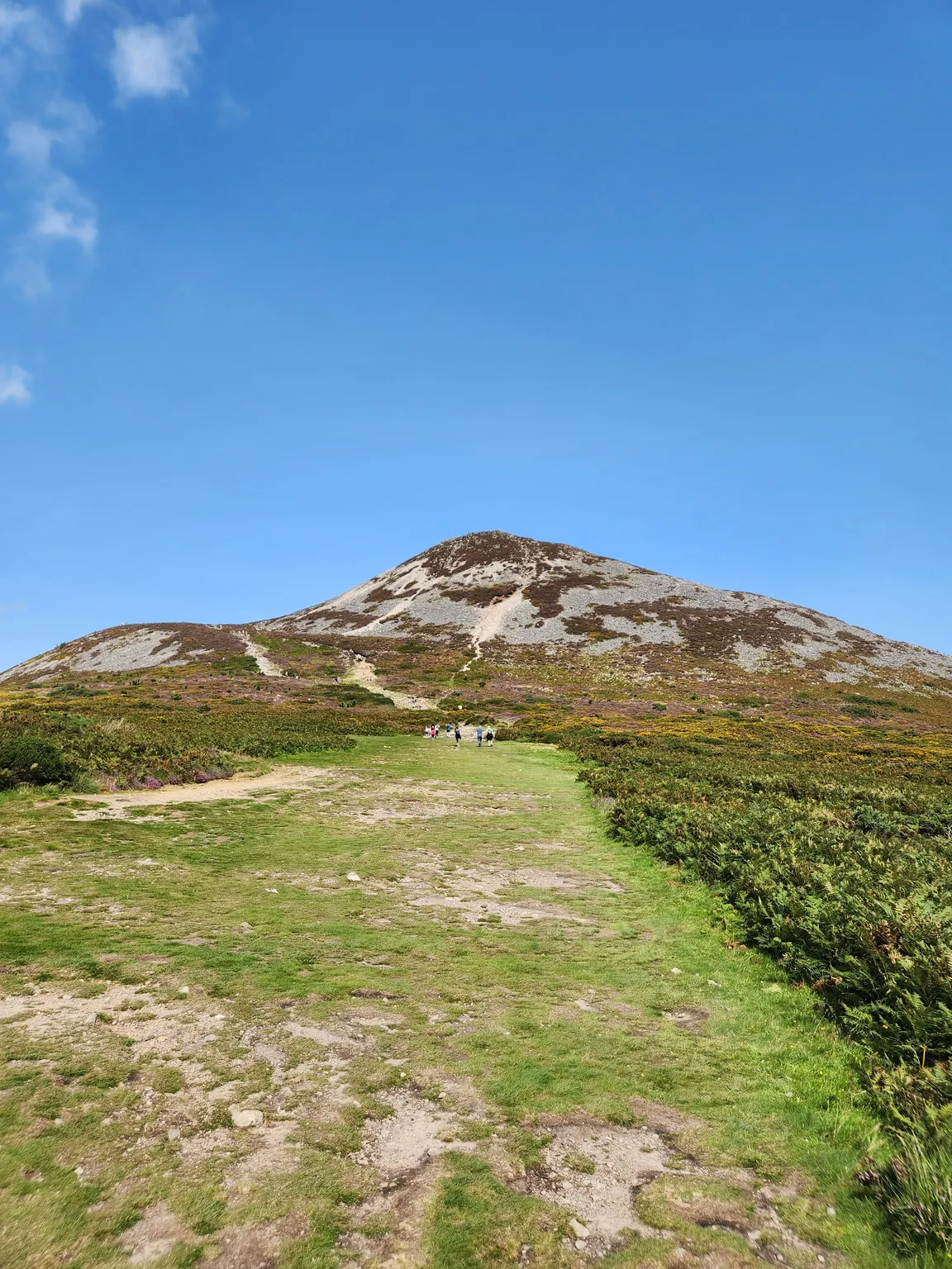 The Great Sugar Loaf