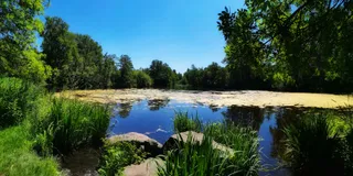 Nordpark / Wienburg Park