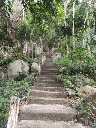 Buddha's Footprint