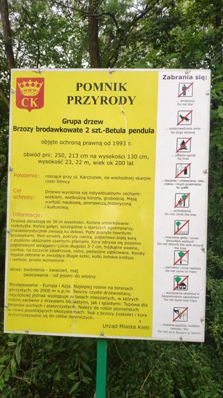 Pomnik przyrody
