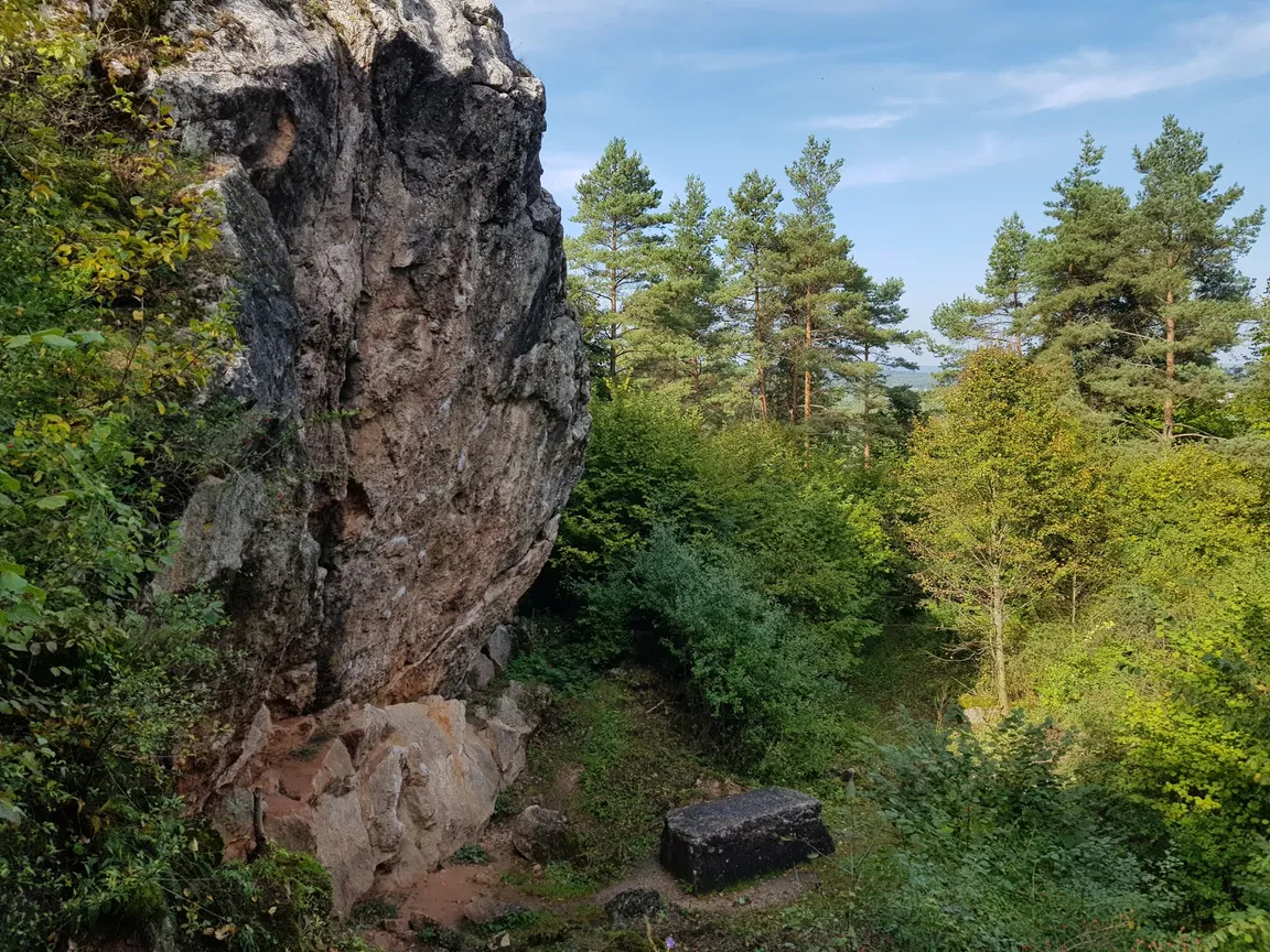 Rezerwat przyrody Góra Zelejowa