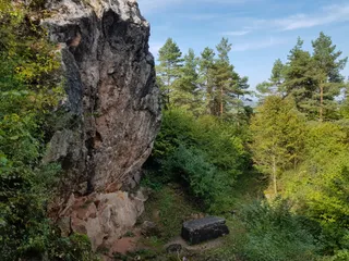 Rezerwat przyrody Góra Zelejowa