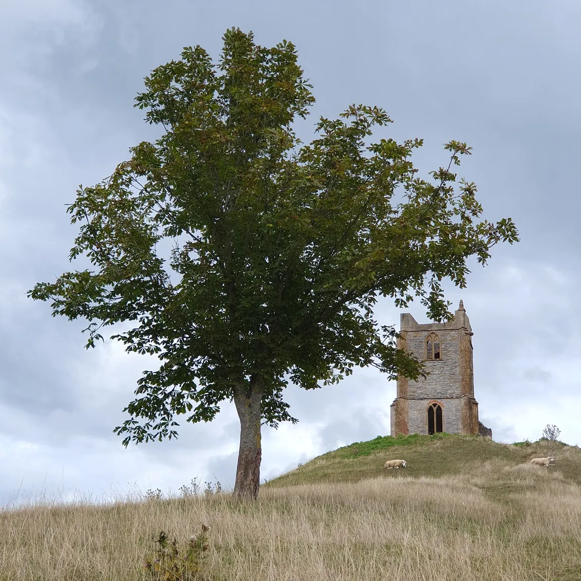 National Trust - Burrow Mump