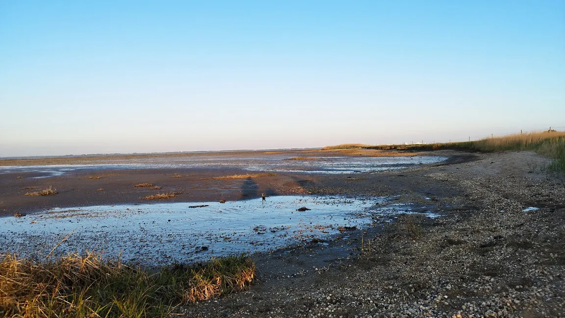 Wadden Sea National Park