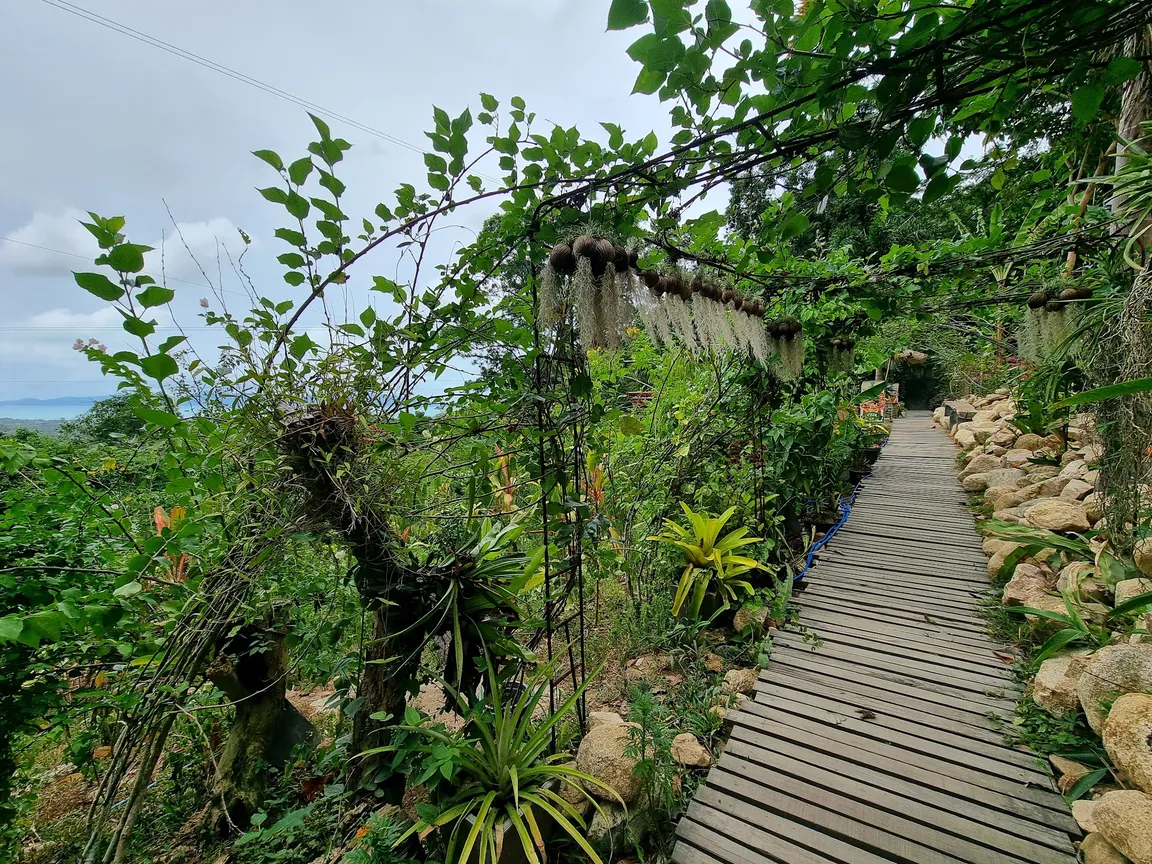 Tan Rua Waterfall
