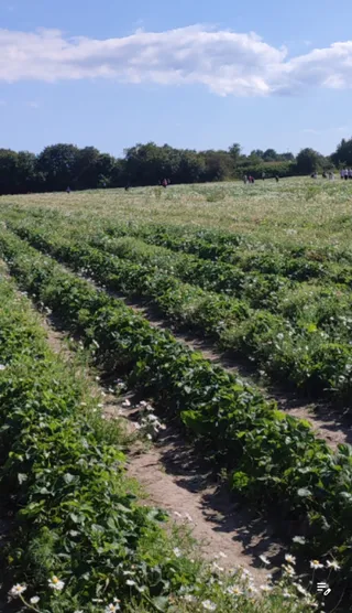 Amager Planteopbevaring