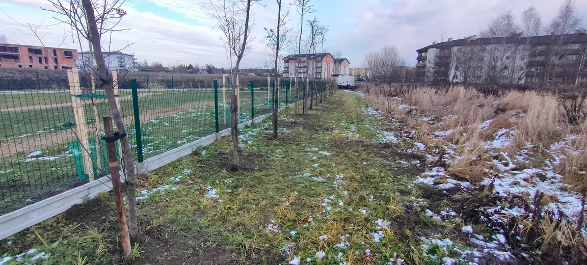 Wybieg dla psów