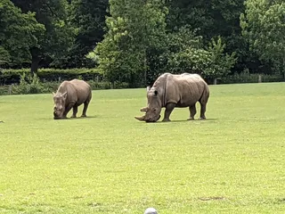 Marwell Zoo