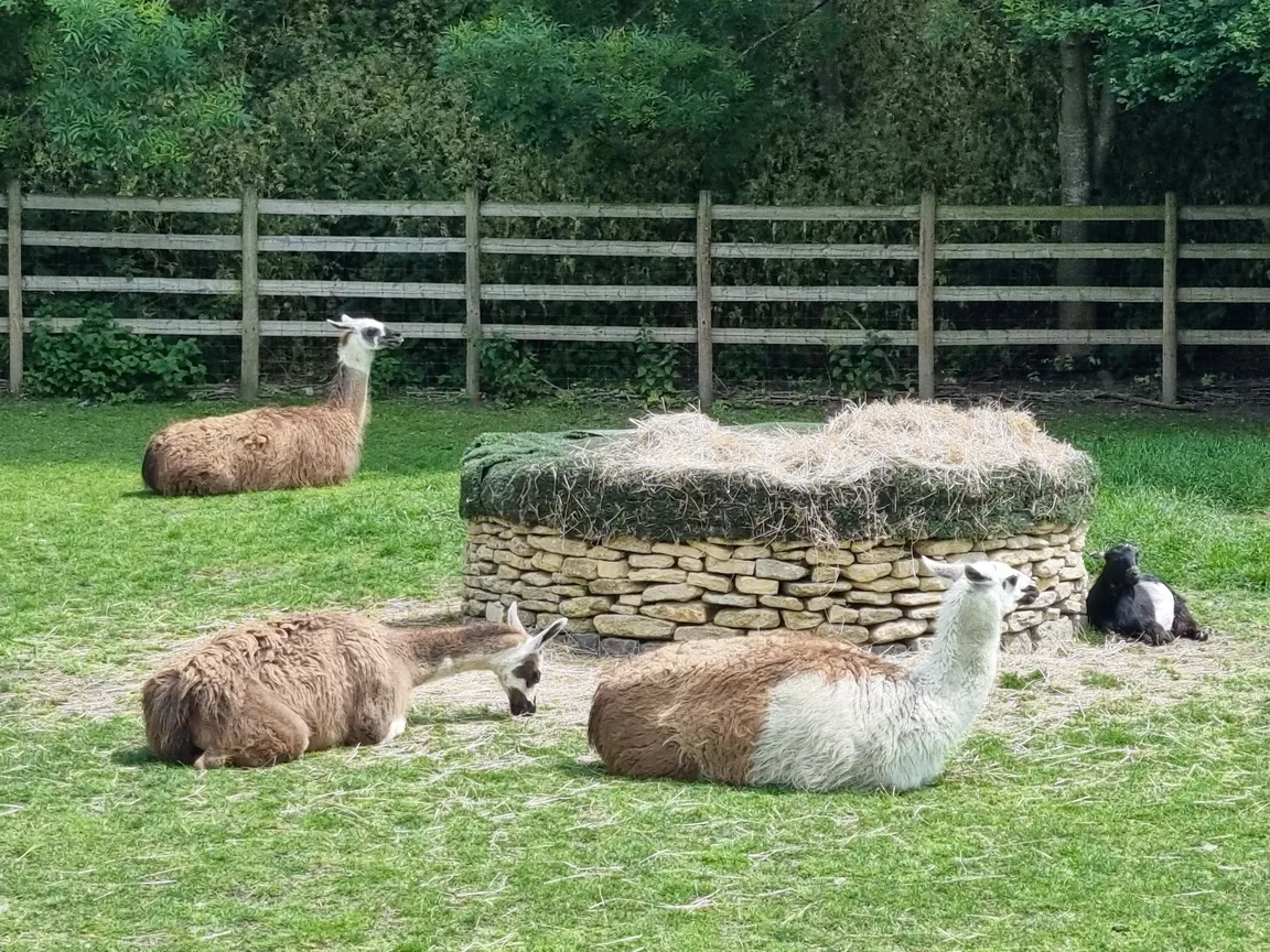Mudchute Park and Farm