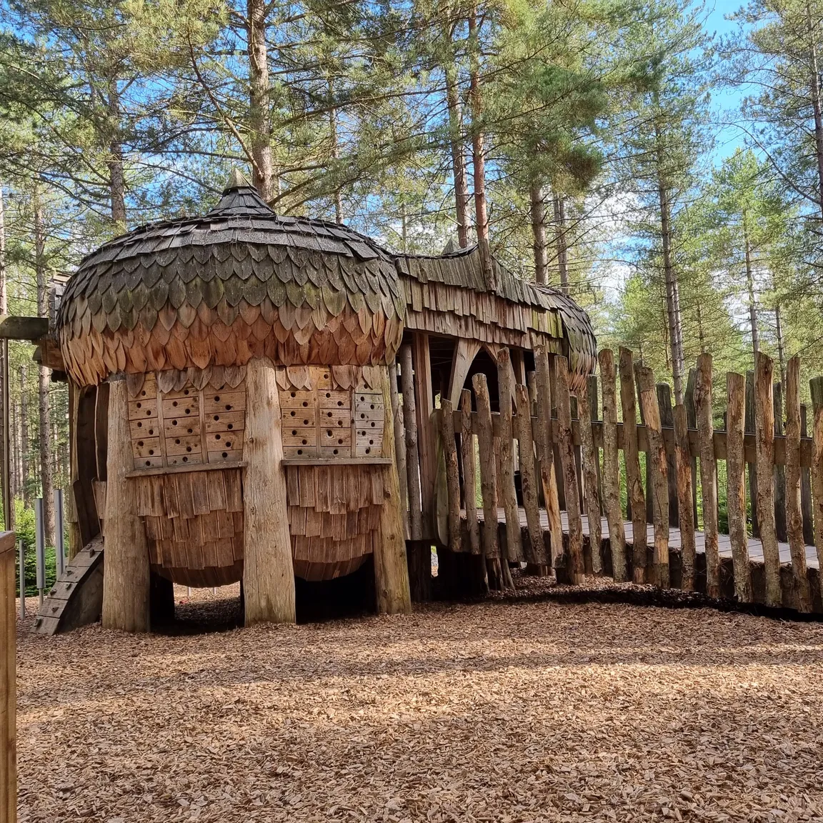 Moors Valley Country Park & Forest