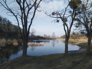 Lake in a small quarry