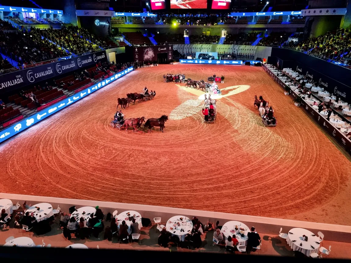 ERGO ARENA
