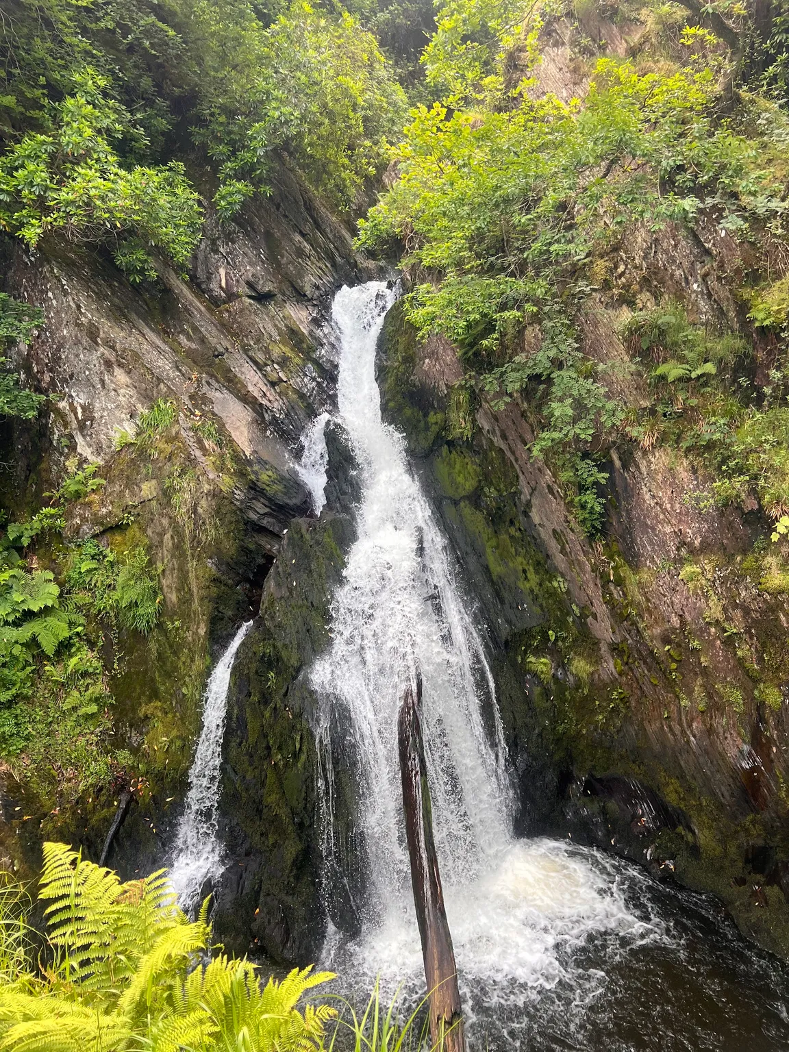 Devil's Bridge Waterfalls