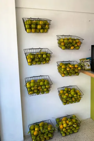 Green Tonic Natural Juicery
