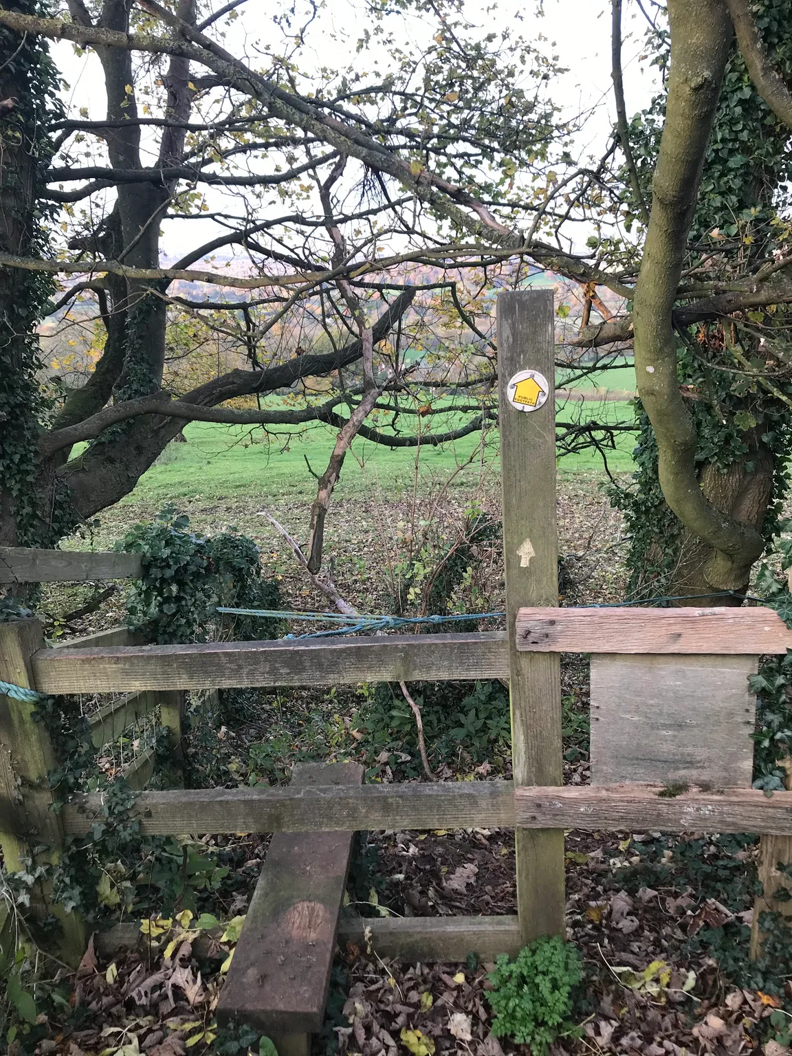Kites Hill Nature Trail