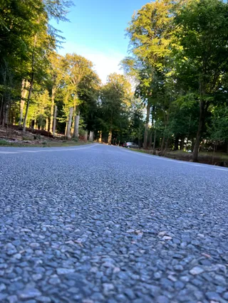Deer Park Vejle