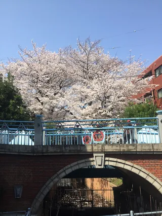 Tamagawa Aqueduct Greenway