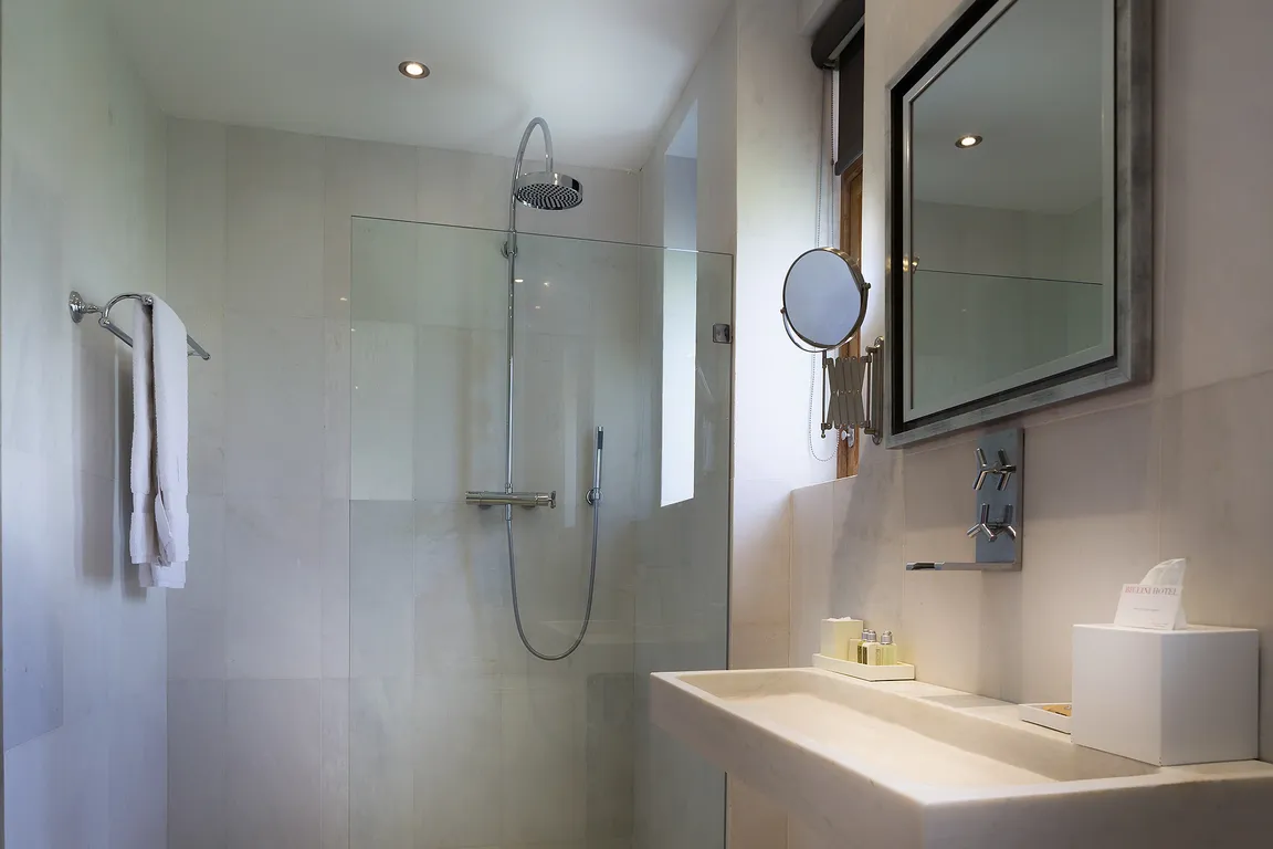 BILLINI HOTEL HISTORIC LUXURY