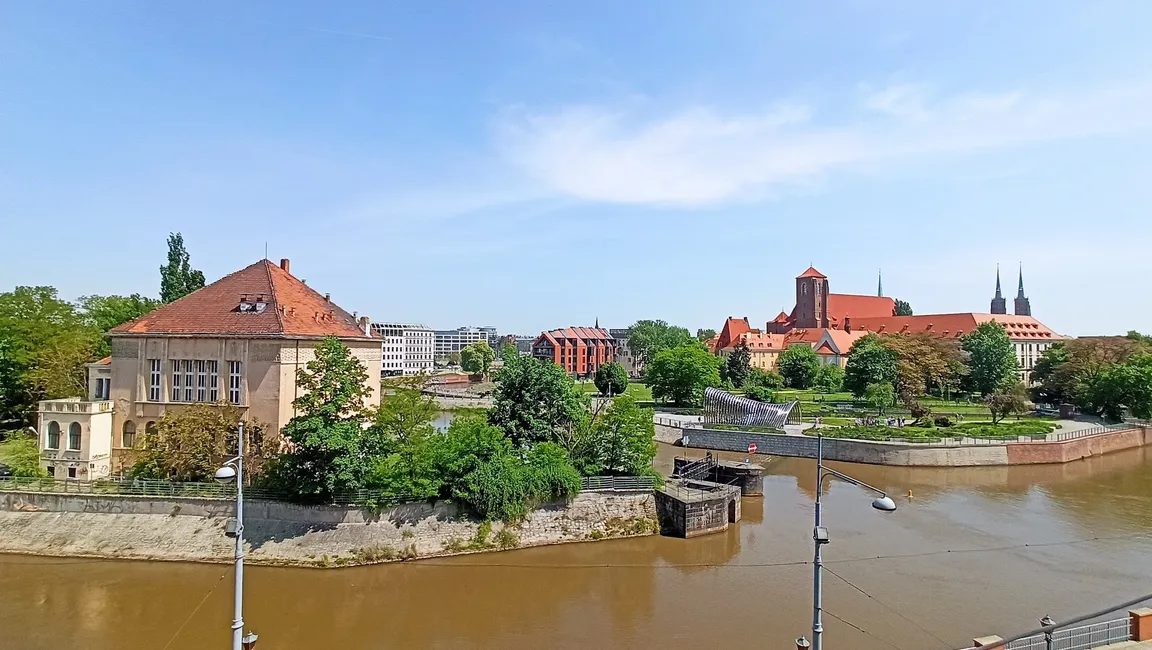 Rzeźba Nawa