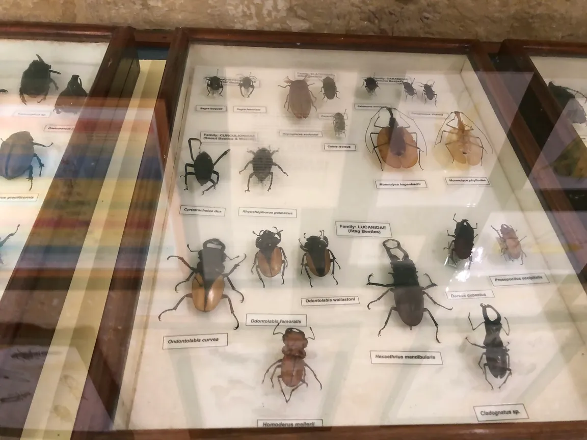 Natural Science Museum