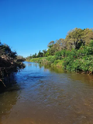 Kedron Brook Dog Walk