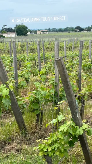 Château Ambe Tour Pourret