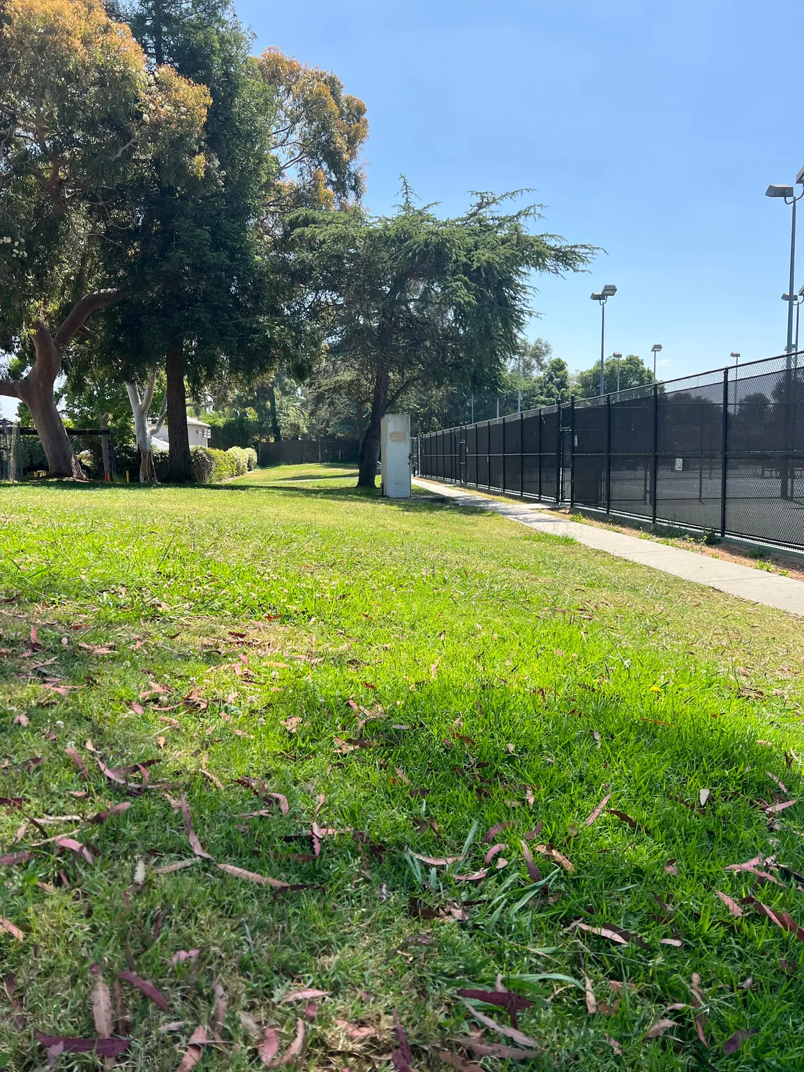 Cheviot Hills Tennis Center